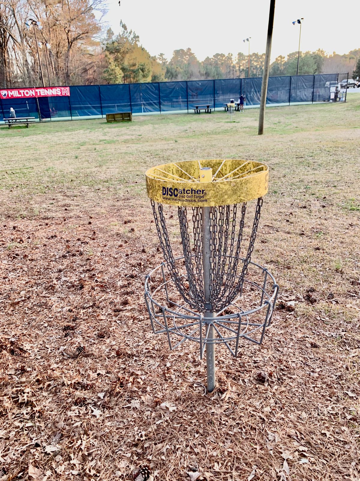 Basket #5 by the tennis courts