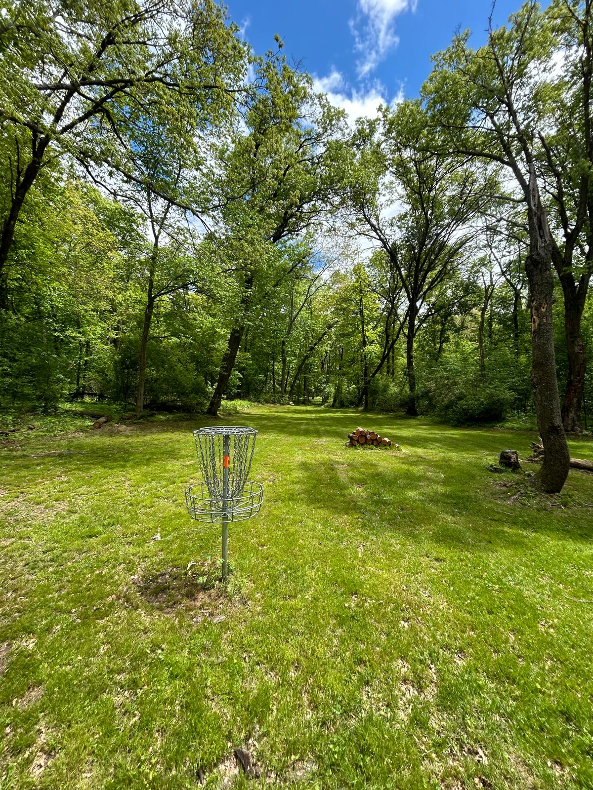 Hole 17 looking back toward the teepad