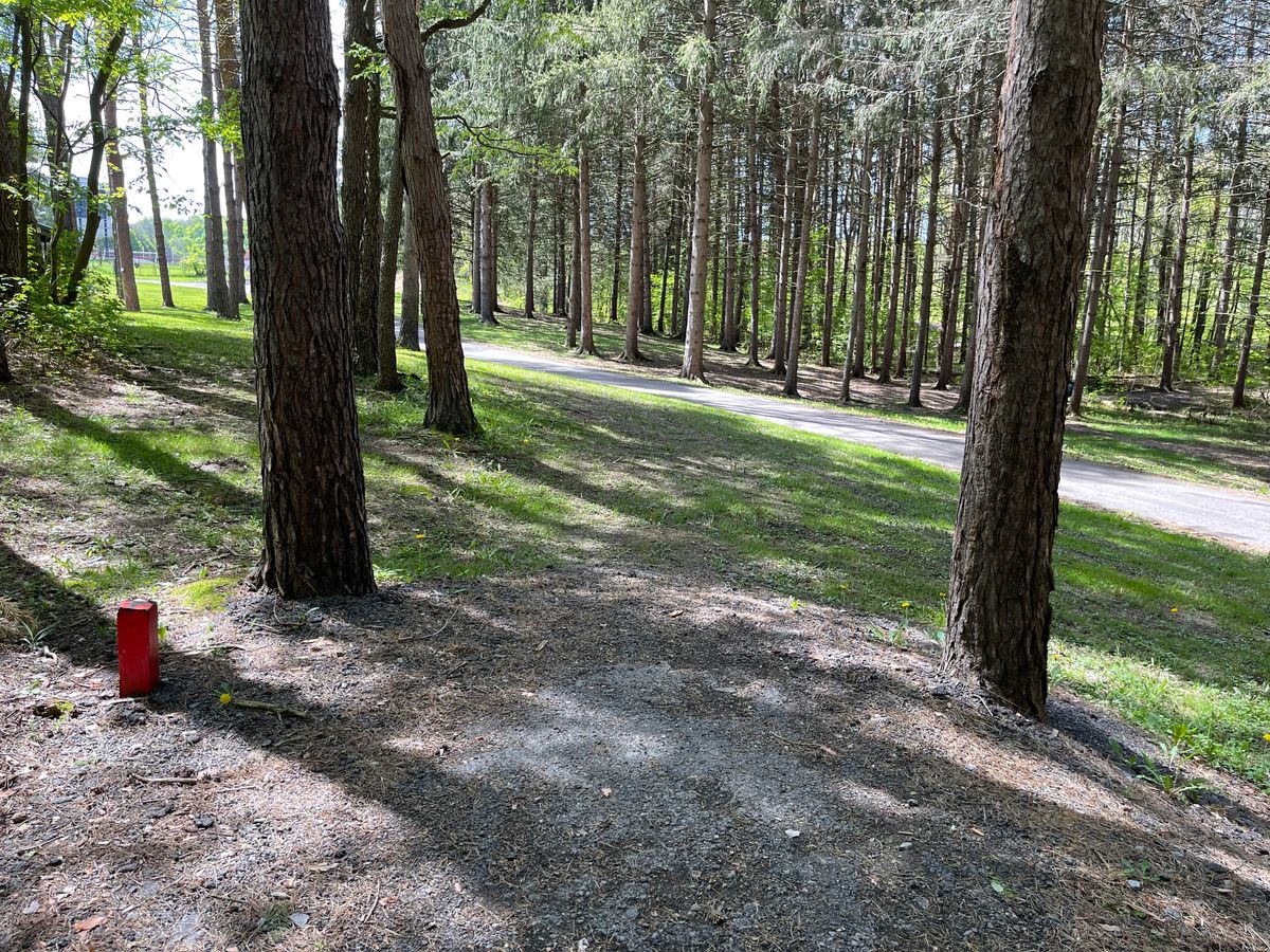 Hole 6 Short Tee