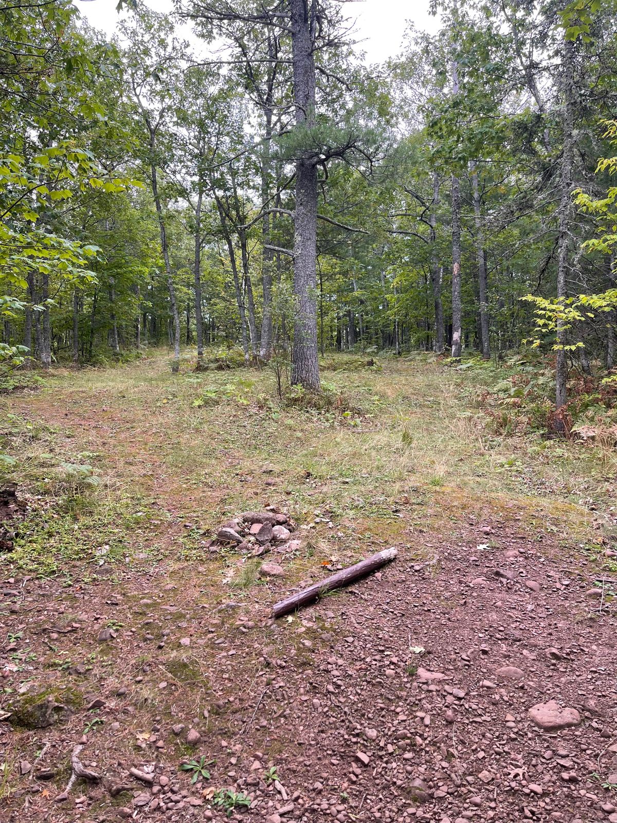 Hole 6’s tee