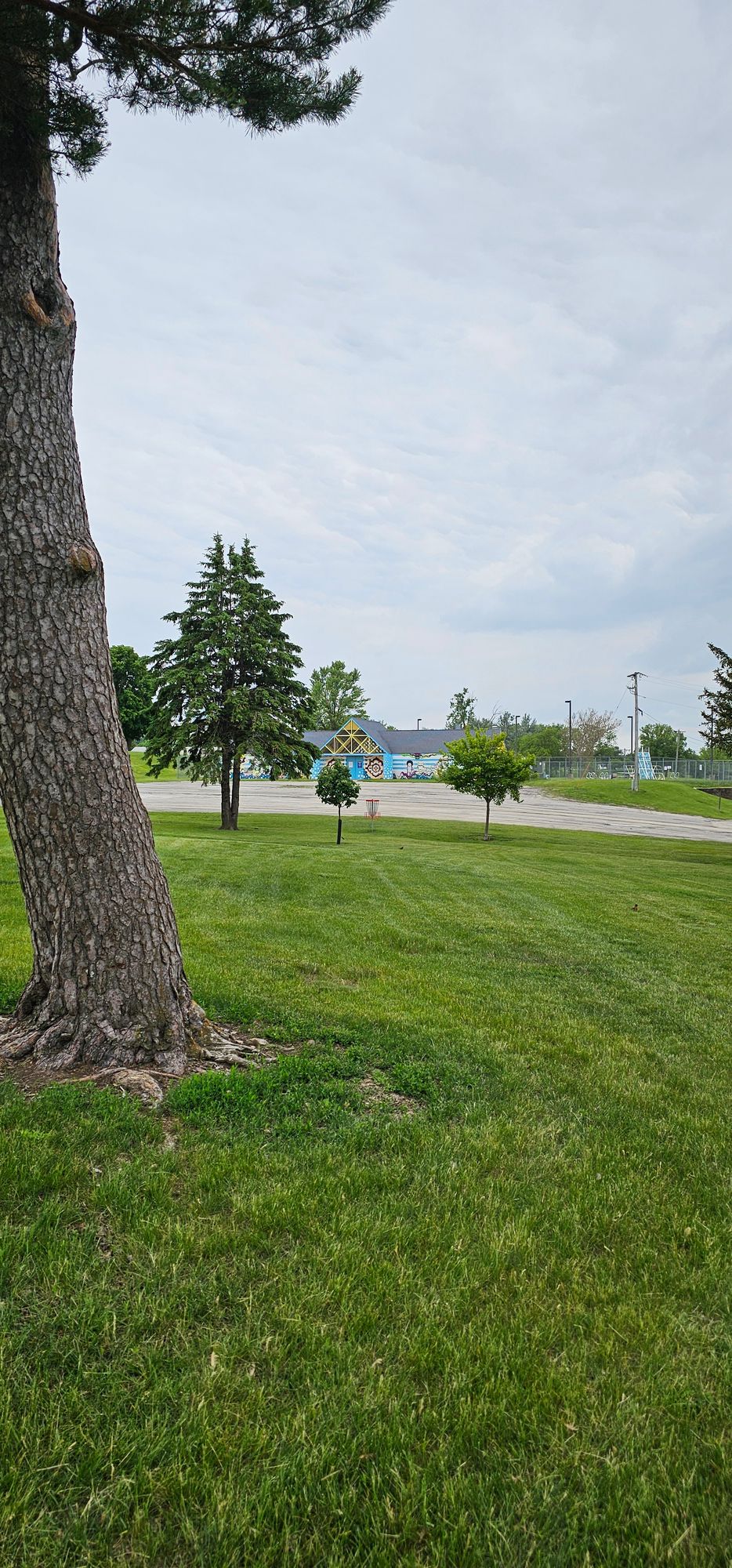Hole 3 basket
