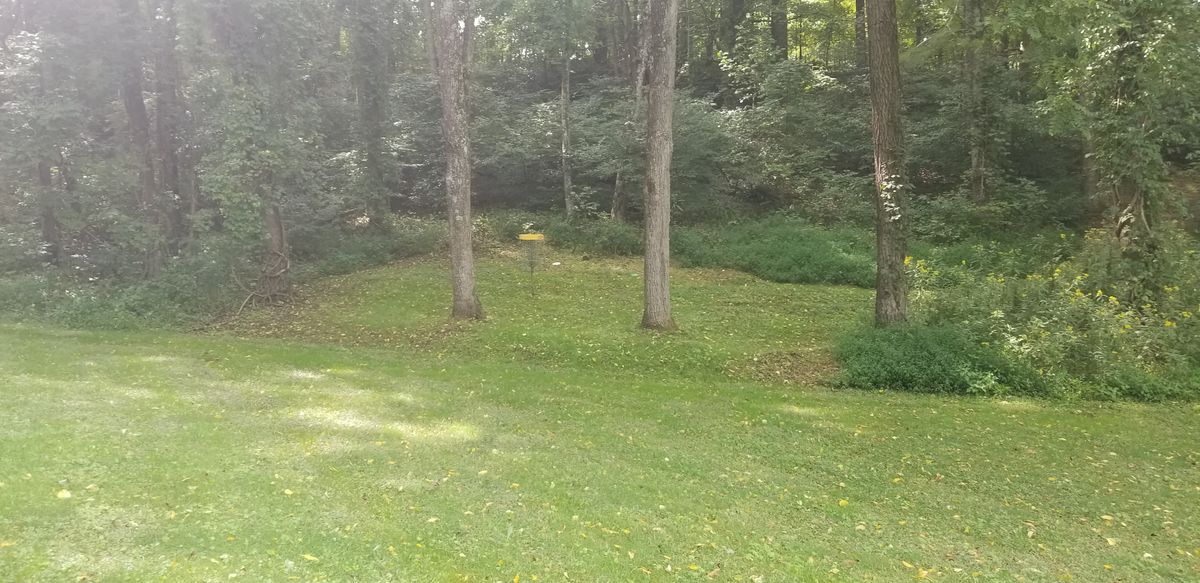 #17.  Look at the 17th green