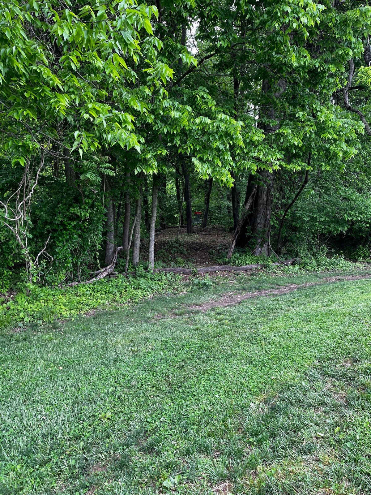 Hole 14 red fairway into green