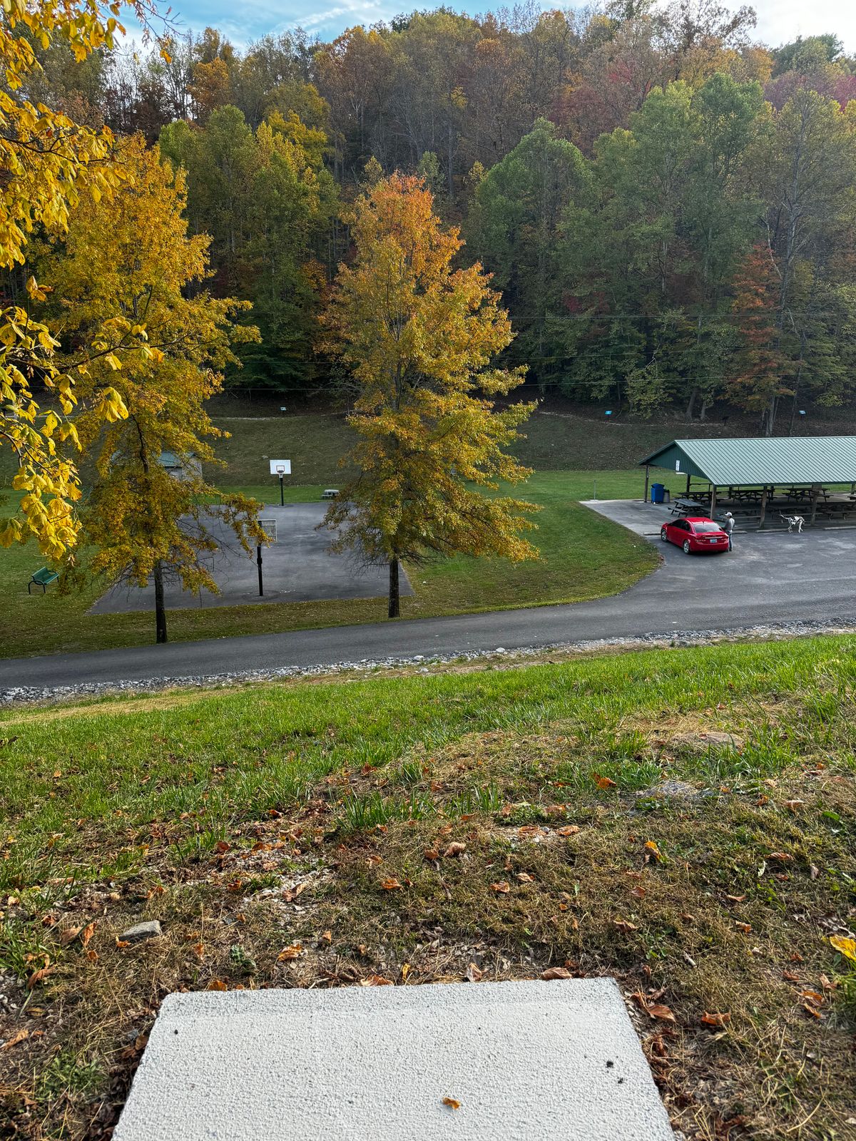 Hole 7/16- basket is directly behind the tree, just off the back right corner of basketball court.