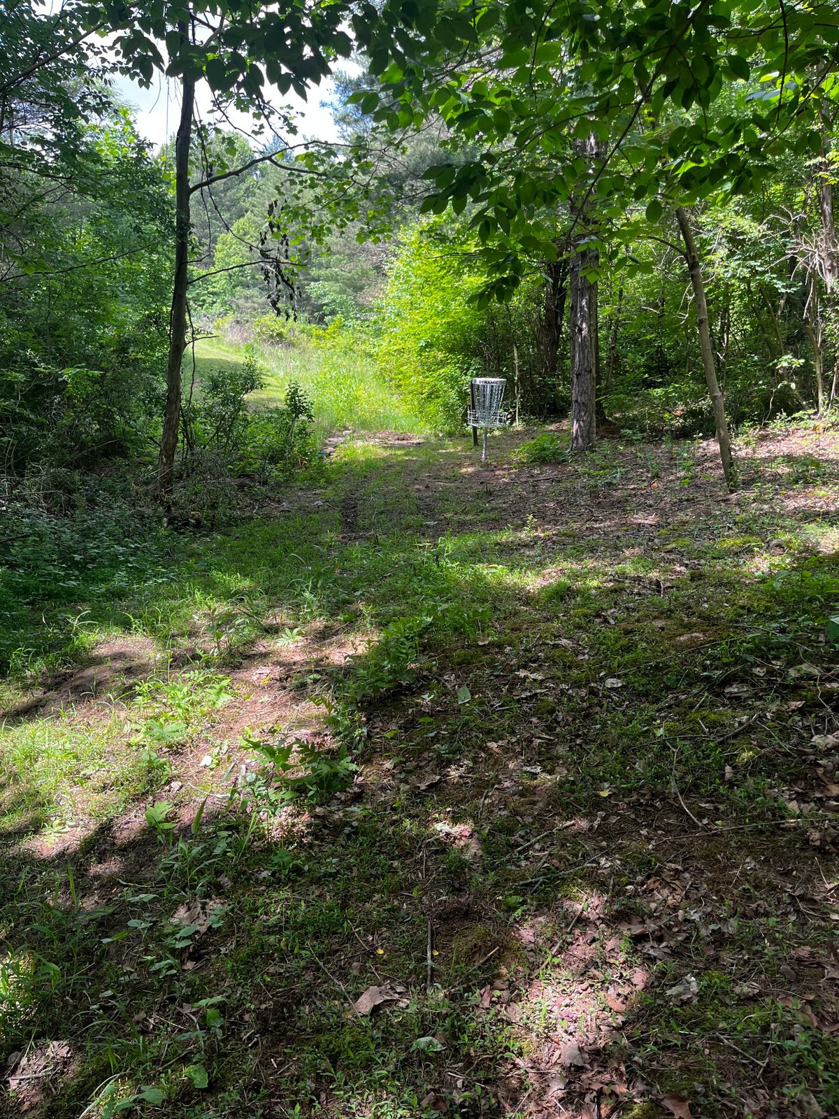 Hole 10 green