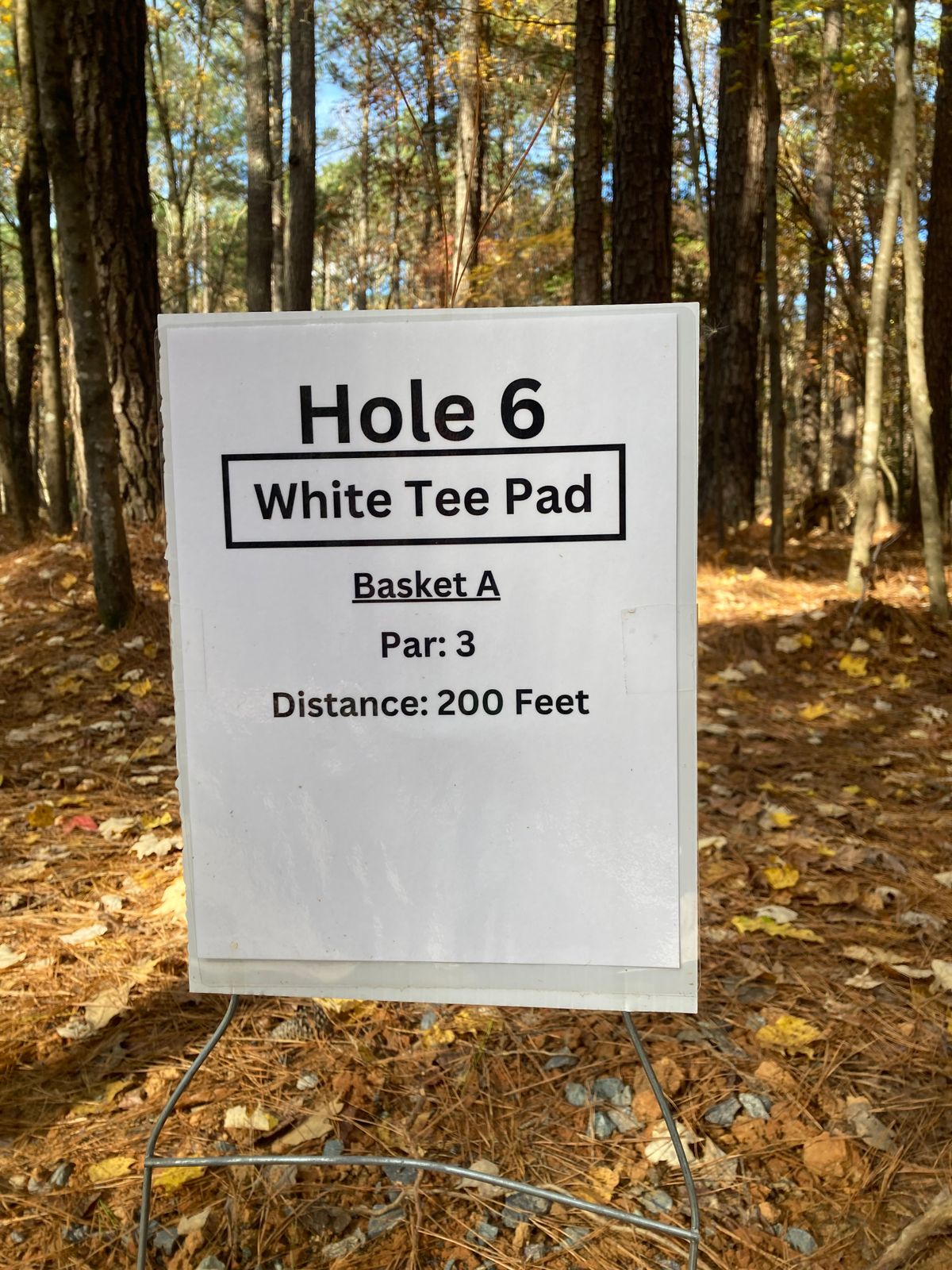Hole 6 White Tee Sign