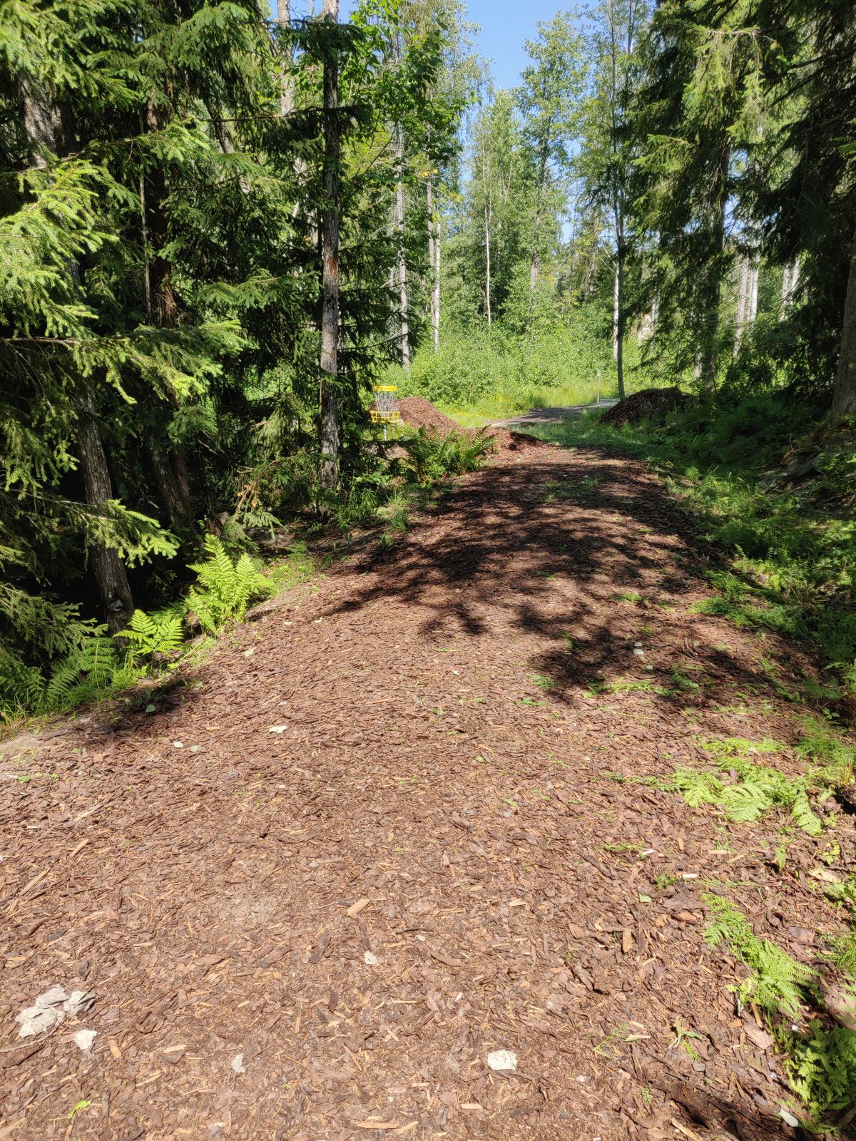 Väylä 3 lisäkuva jonka sovellus taas pakolla kääntää sivuttain. Kuva kaarteesta