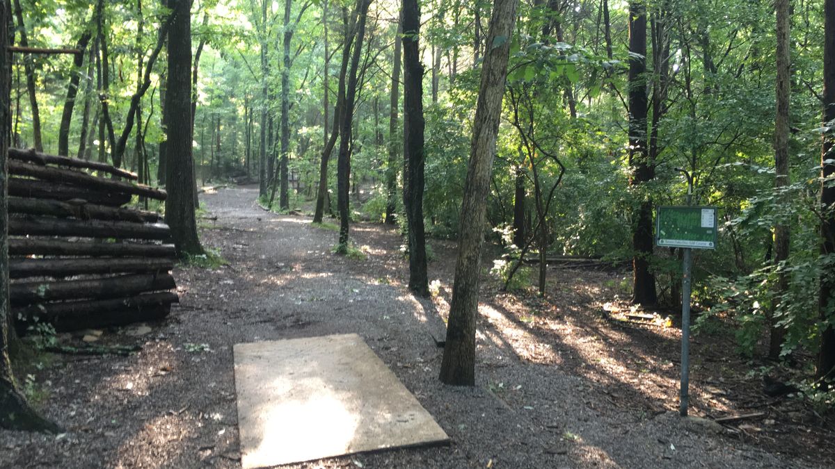 Hole 7
