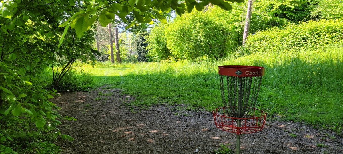 Hole 7 green looking back down the fairway