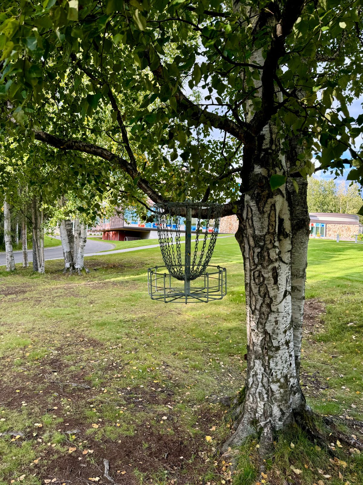 Basket for hole 2