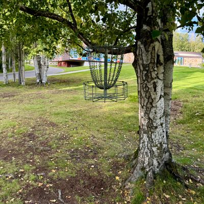 Basket for hole 2