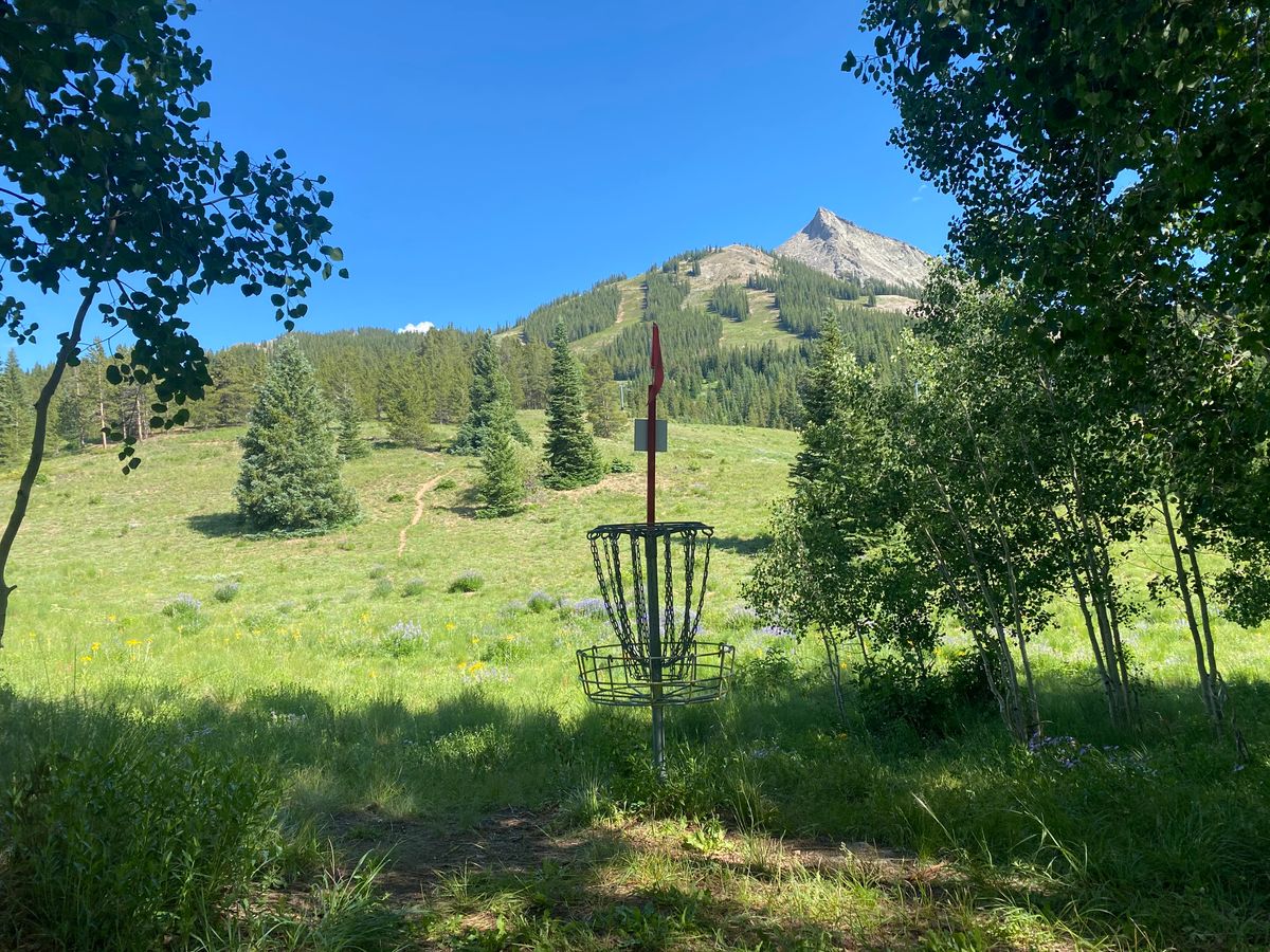 Hole # 12 - Basket looking towards Tee Box