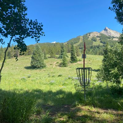 Hole # 12 - Basket looking towards Tee Box