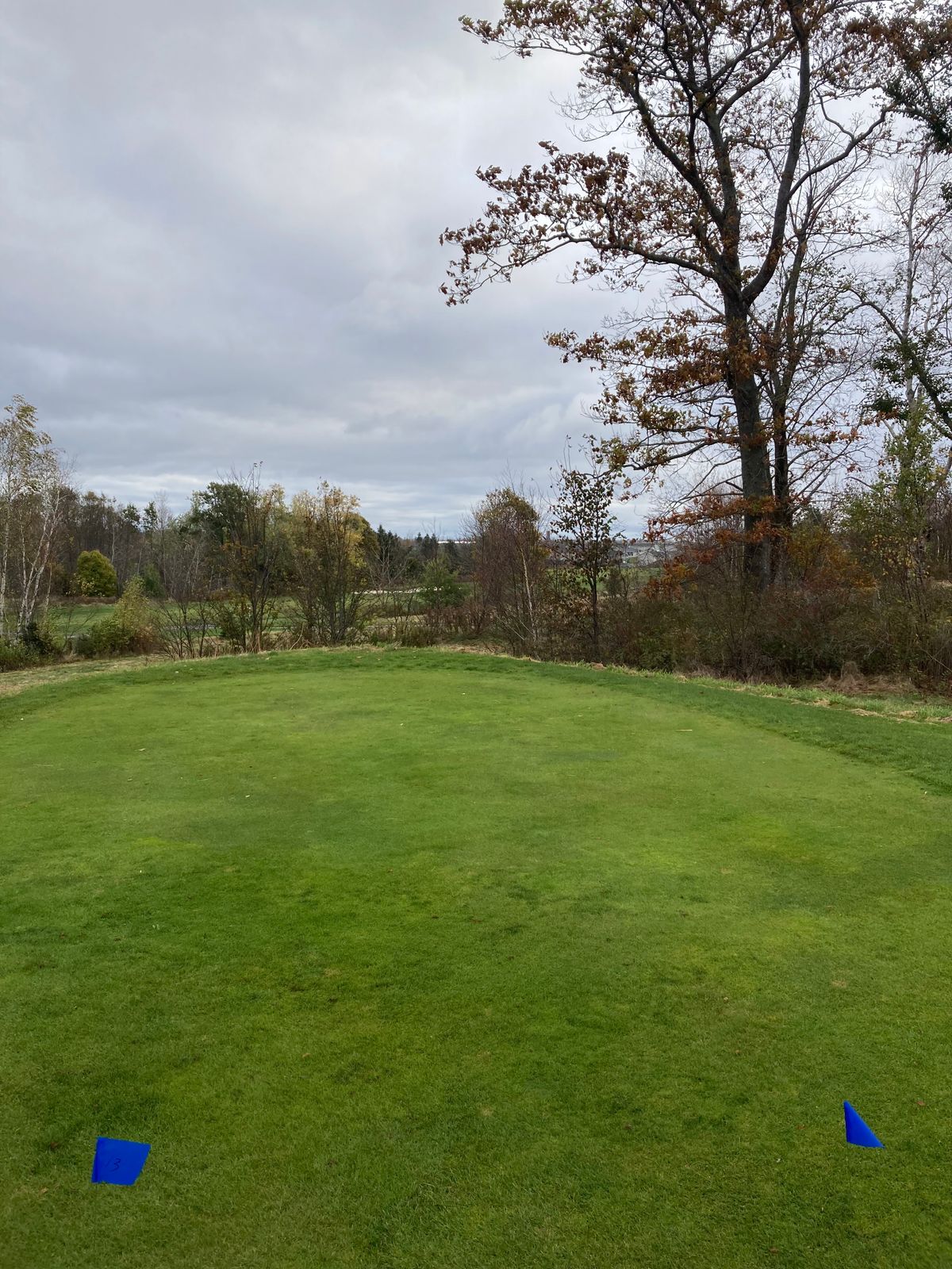 Hole 13 Blue tee.  Teeing off from OB, must land left of East/West cart path to be in bounds.