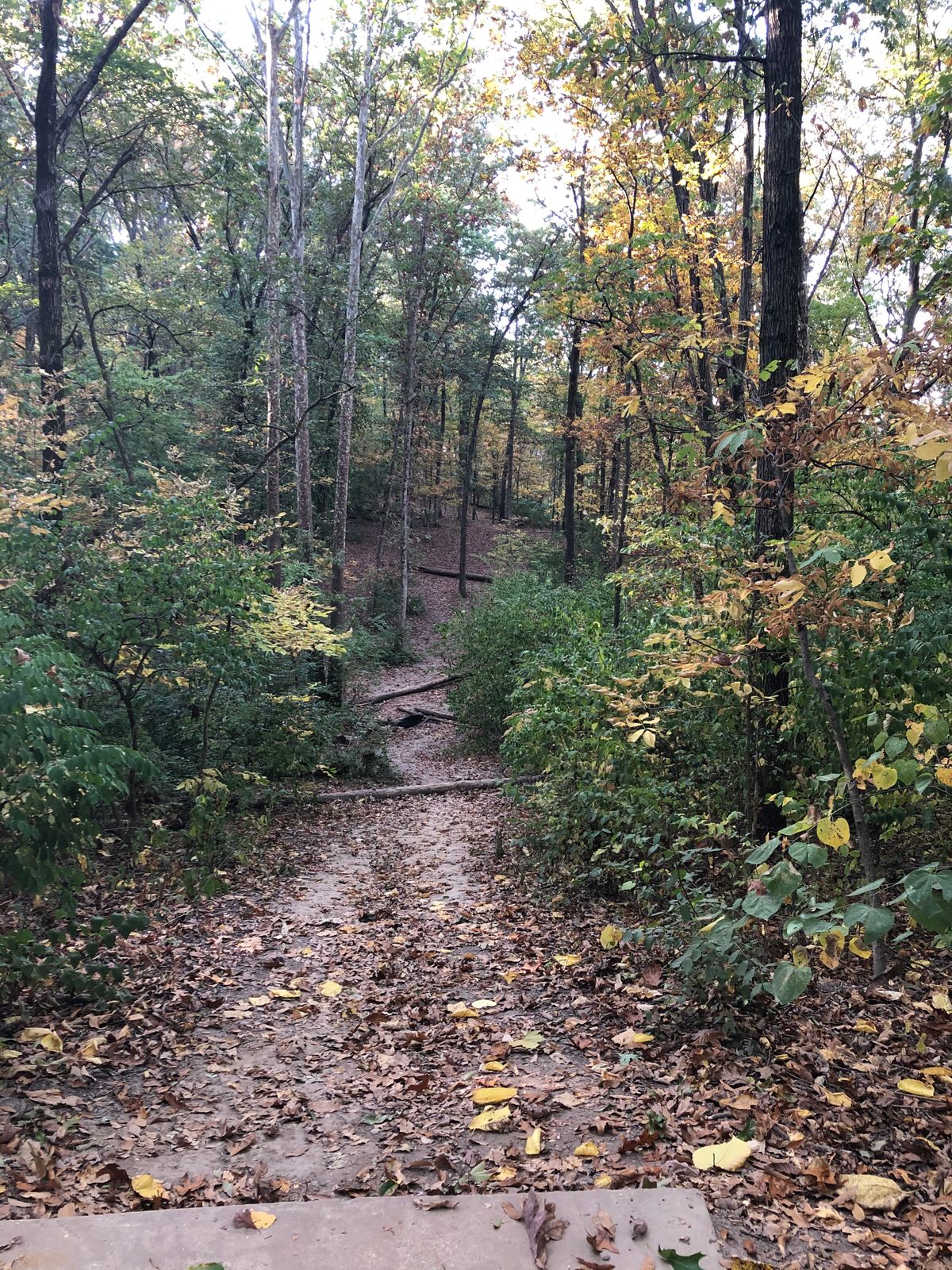 Hole 4