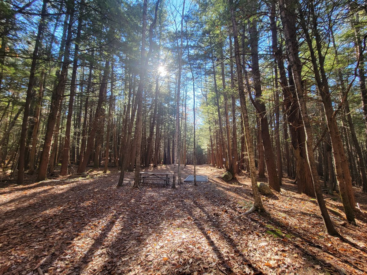 Hole 15