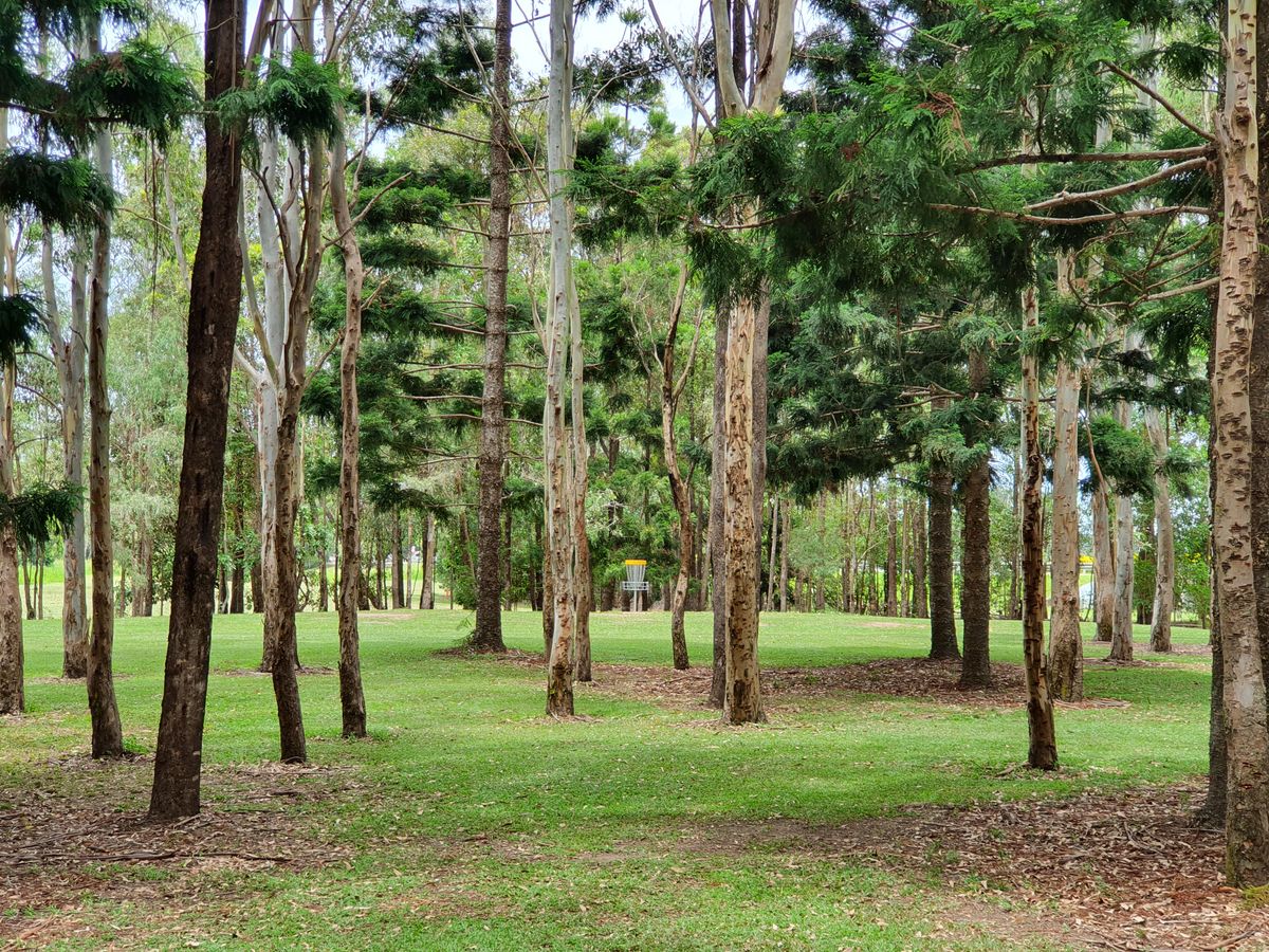 Hole 2R