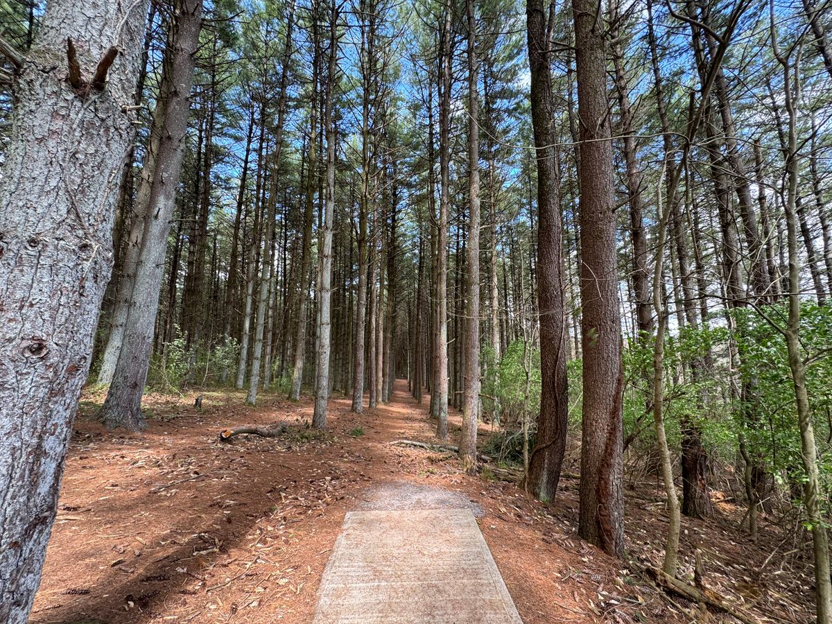 It’s easy…just go right down the path. No problem! :-)