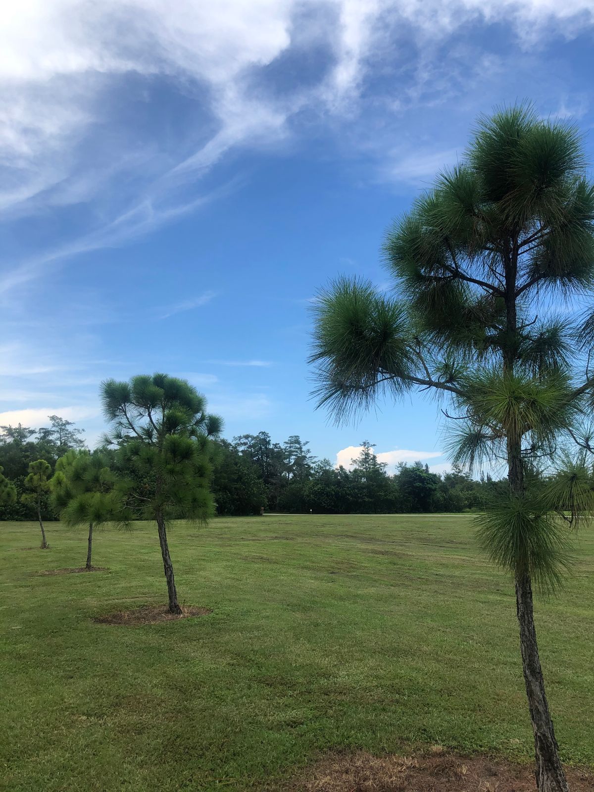 Hole 11