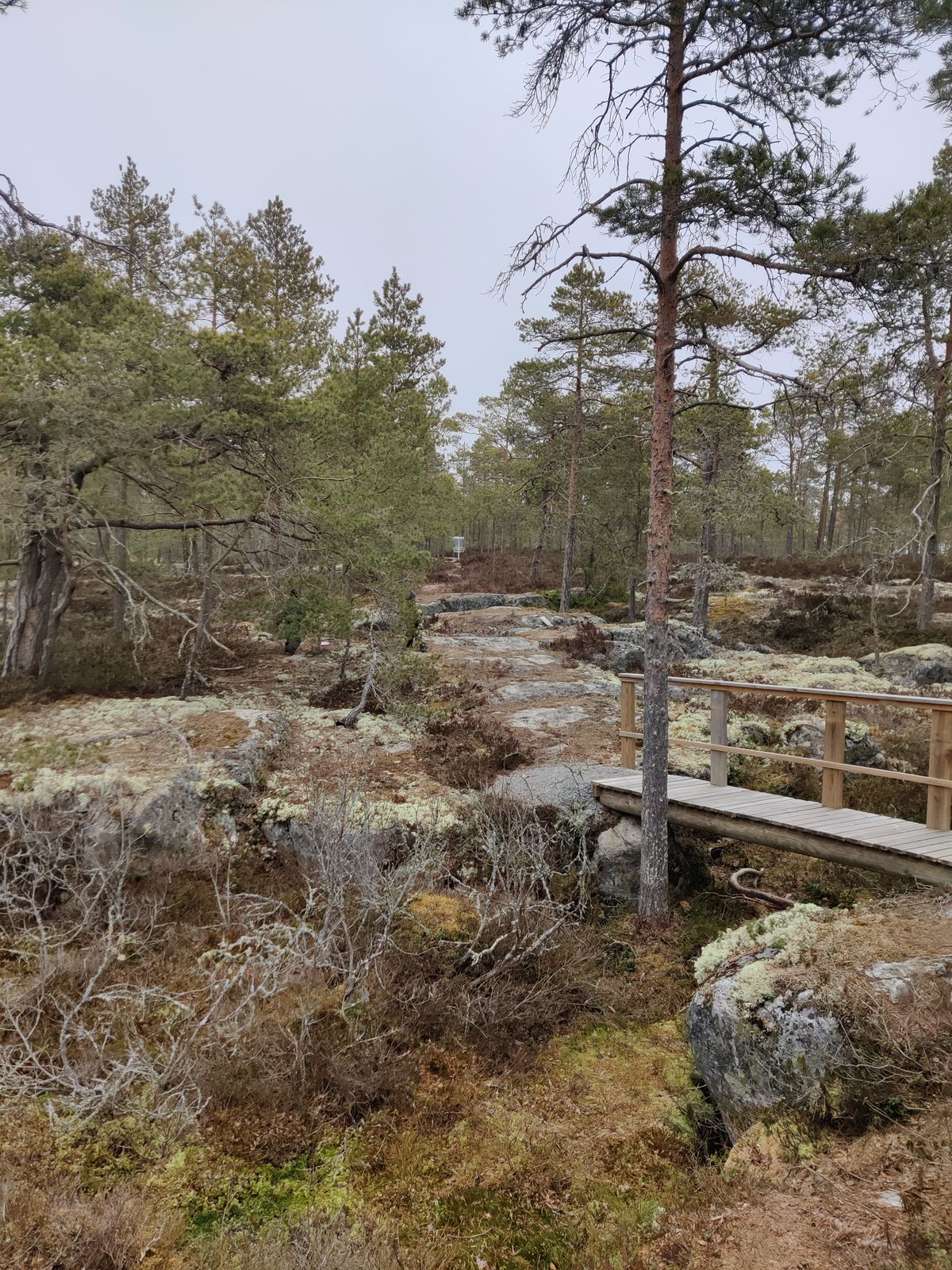 Perfekt för att träna puttern och att ha med barnen