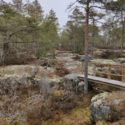 Perfekt för att träna puttern och att ha med barnen