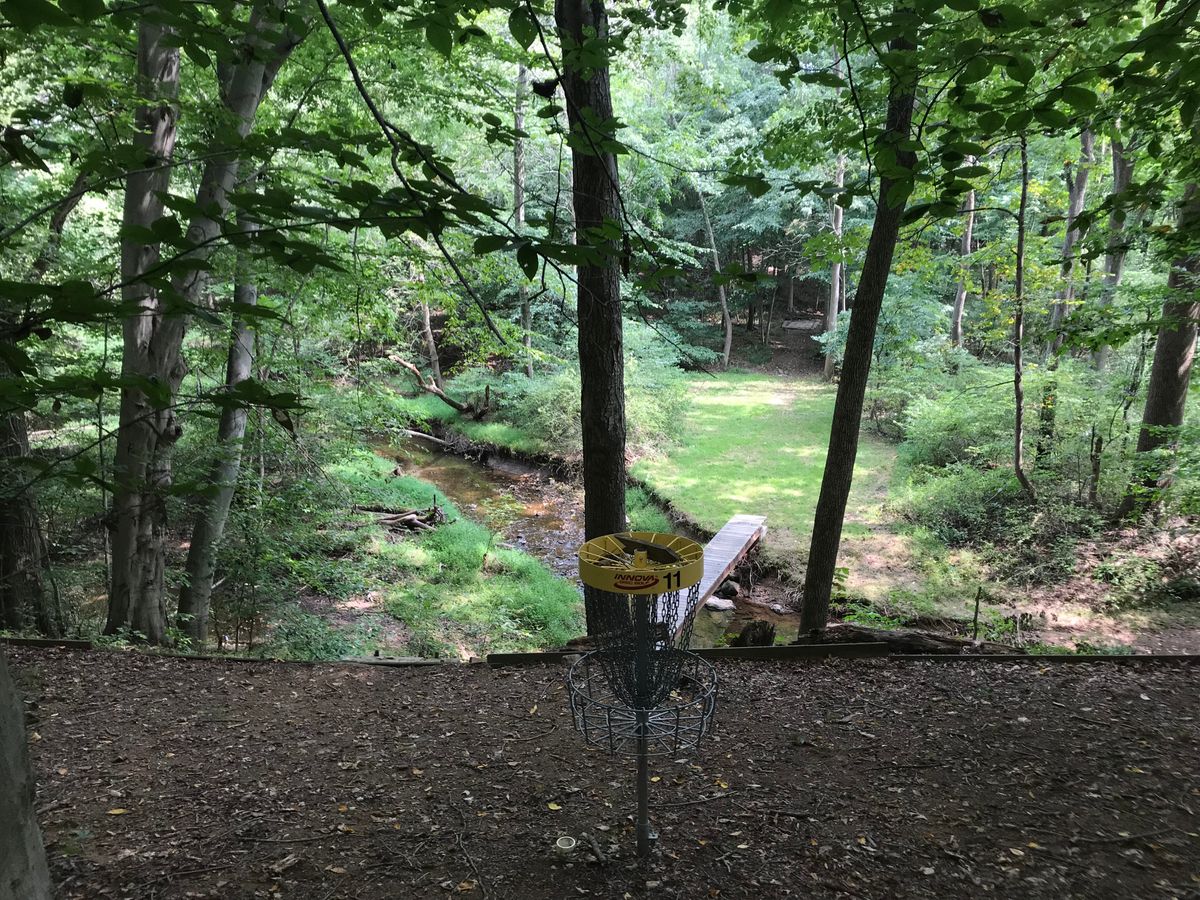 Hole 11 basket