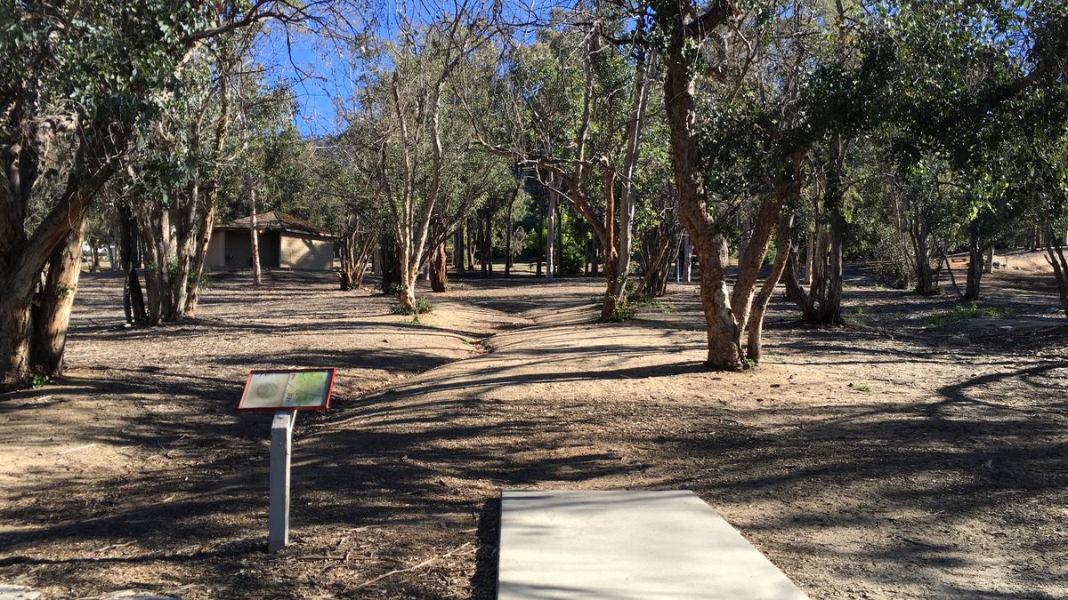Hole 7