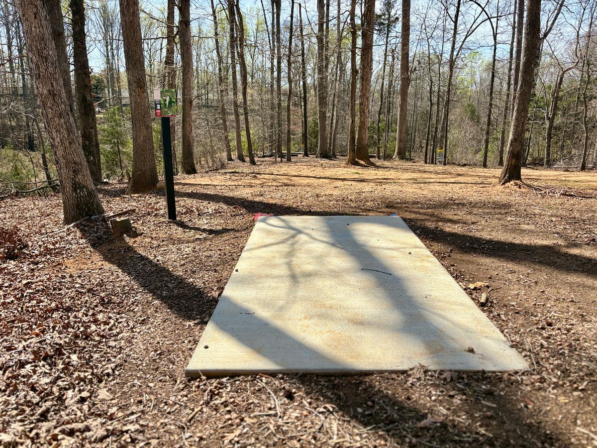 Hole 8 tee