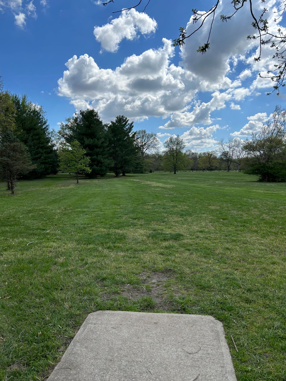Hole 6 Fairway