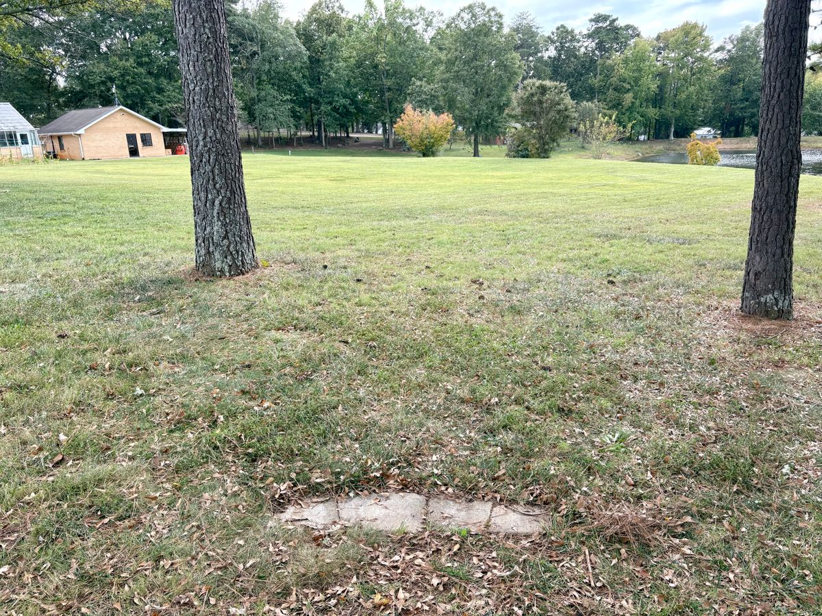 Hole 1 tee