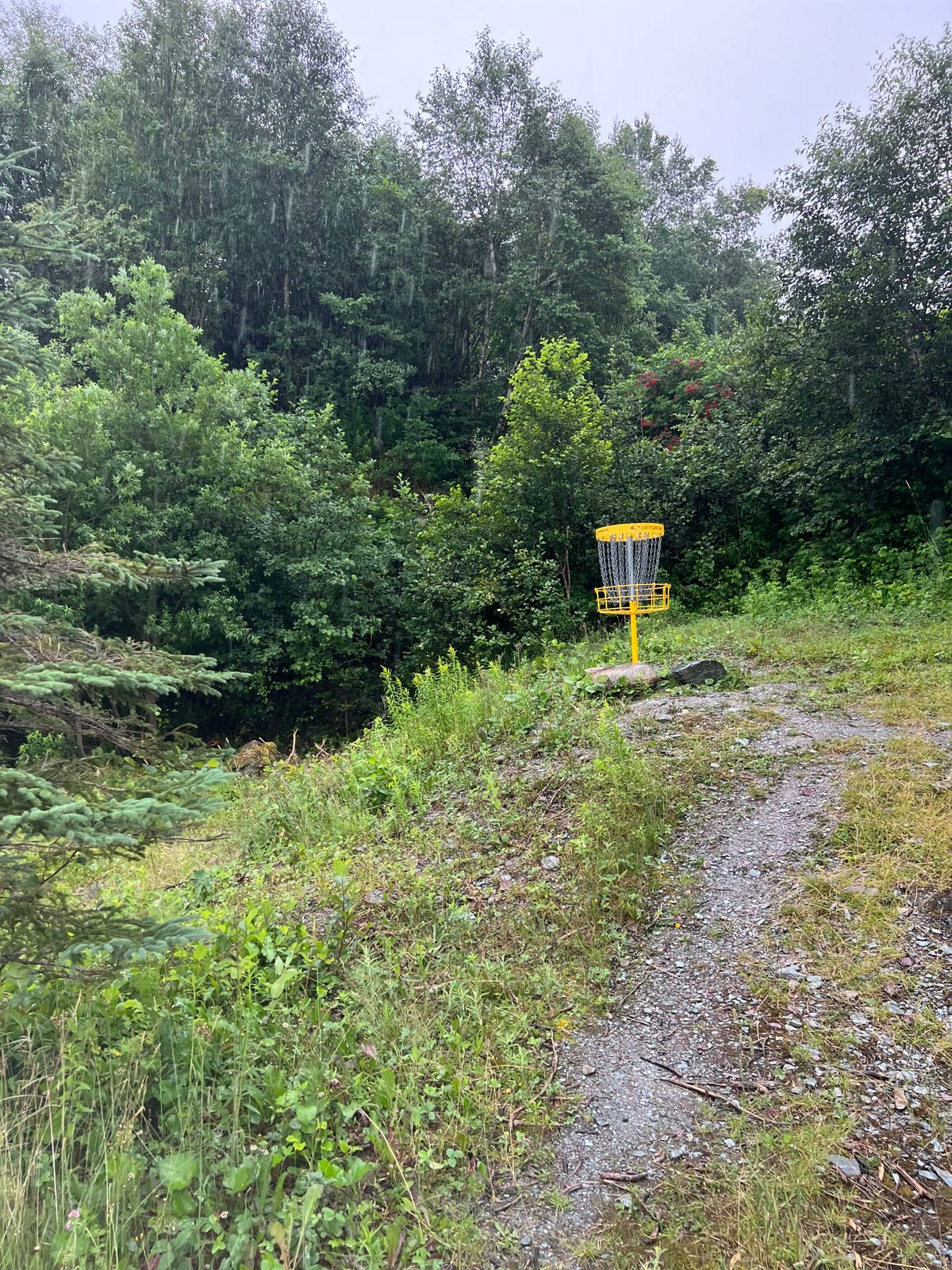 Hole 11B Basket
