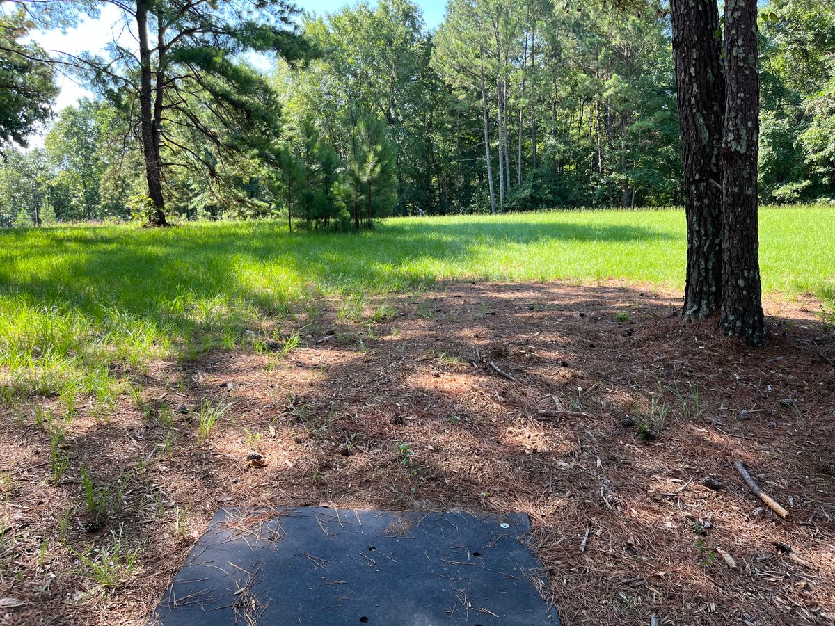 Hole 5 tee box