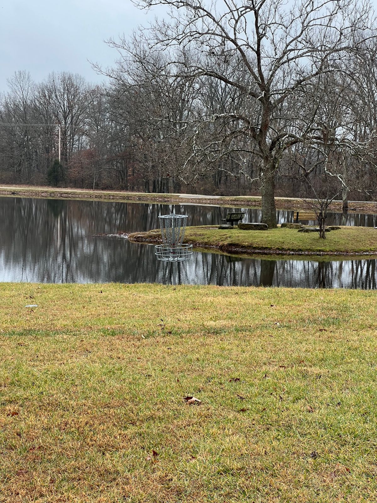 Hole 17 b pin