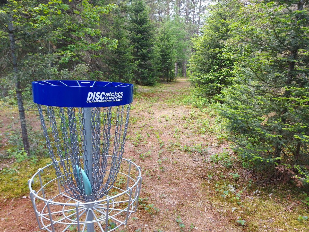 Reverse back up the fairway on hole 16.🌲🌲🌲🌲