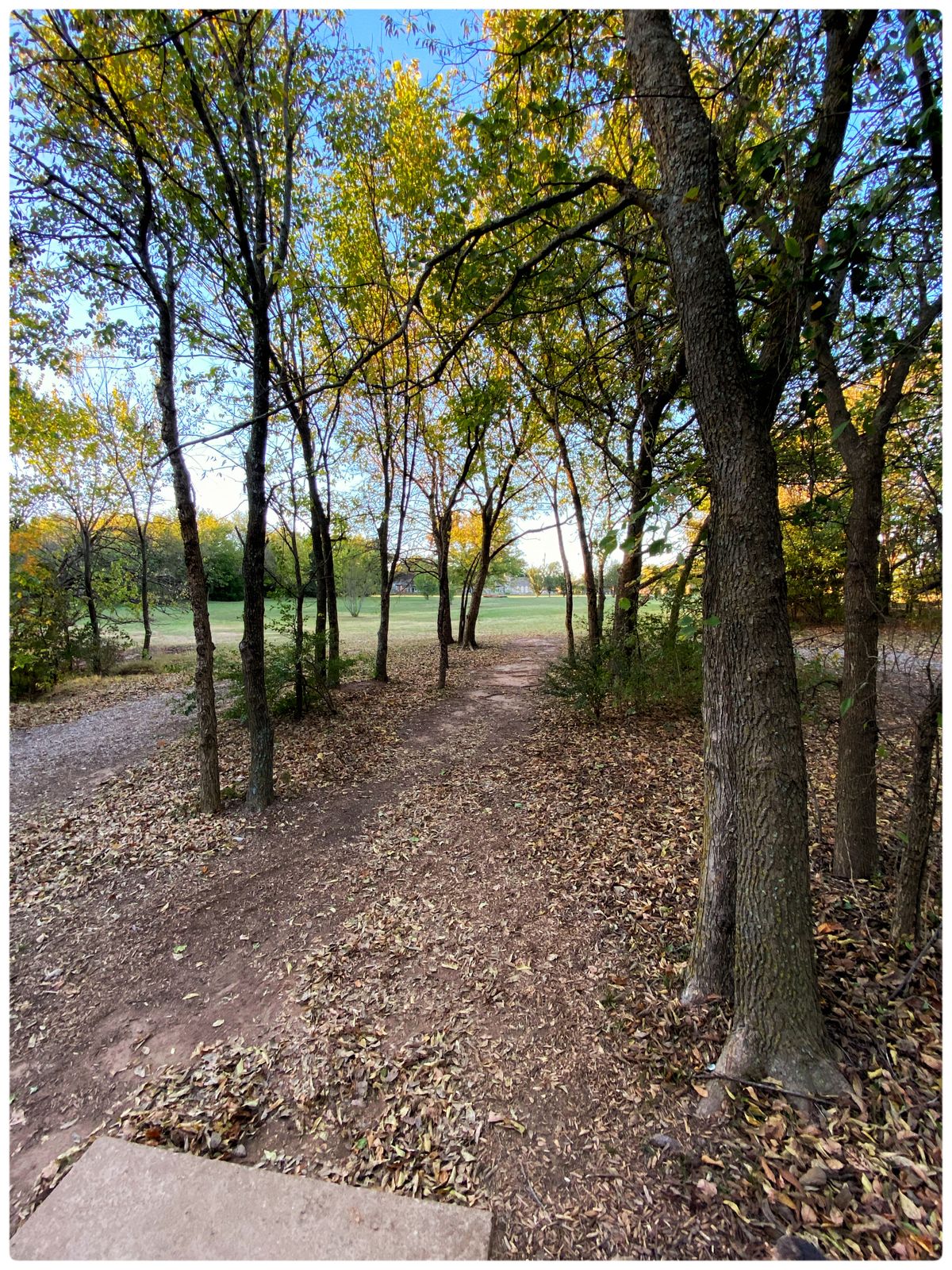 The Tee on #1