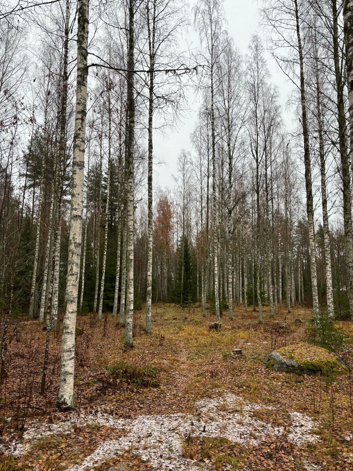 1. Väylä