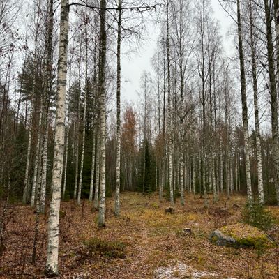 1. Väylä