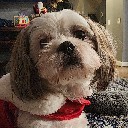 User avatar image