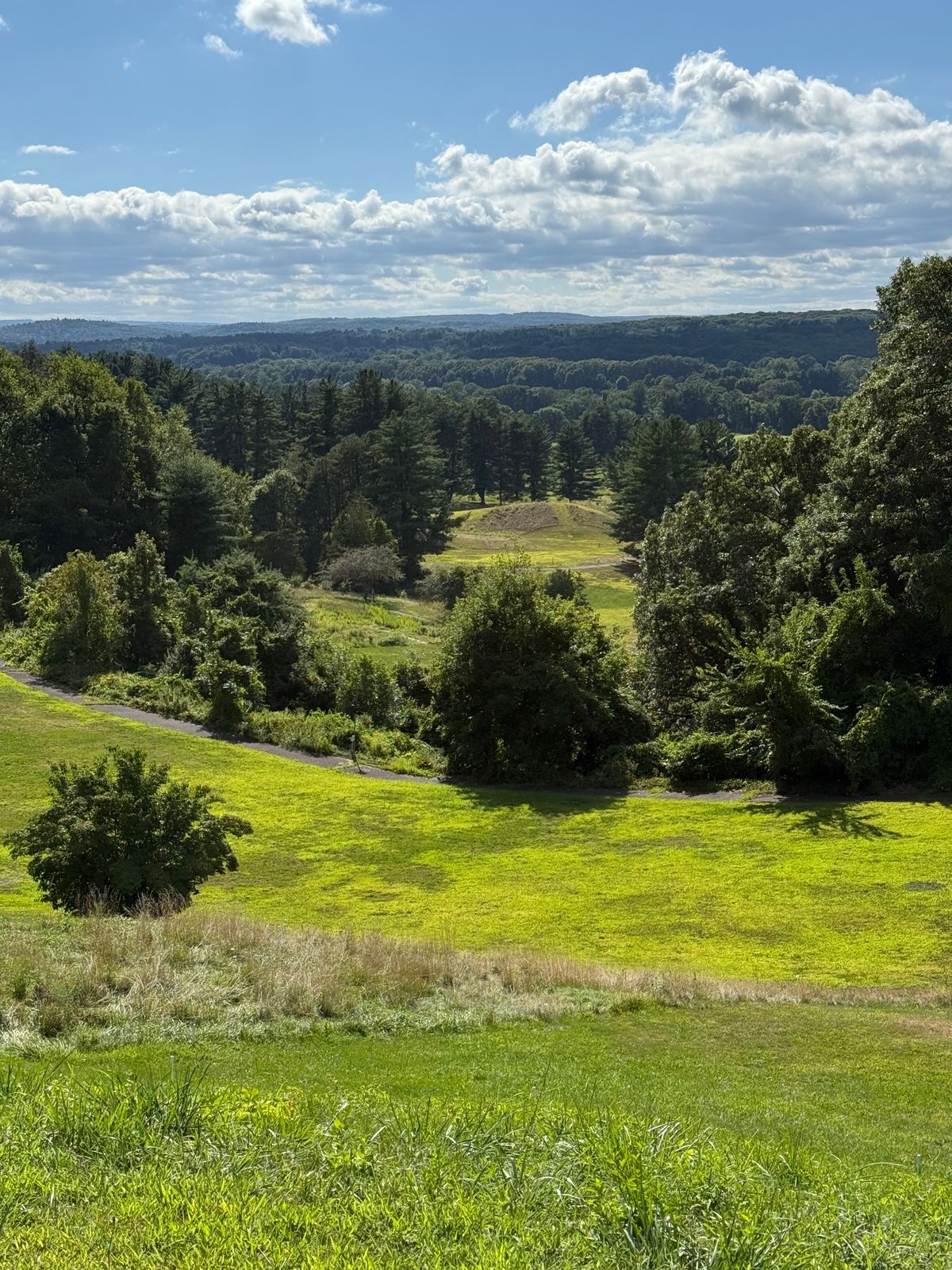 Hole 12-Looking Down