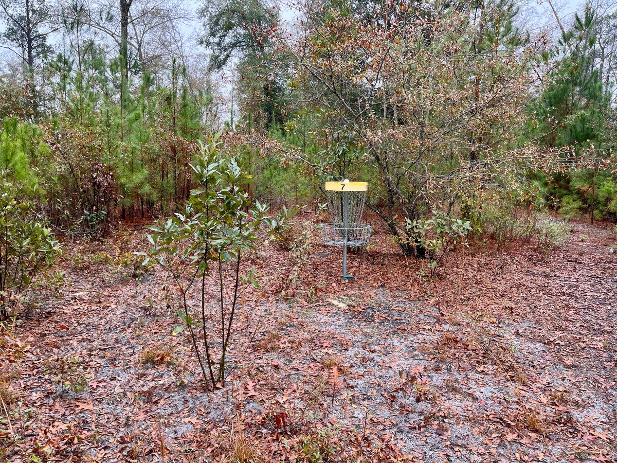 Hole 7 approach