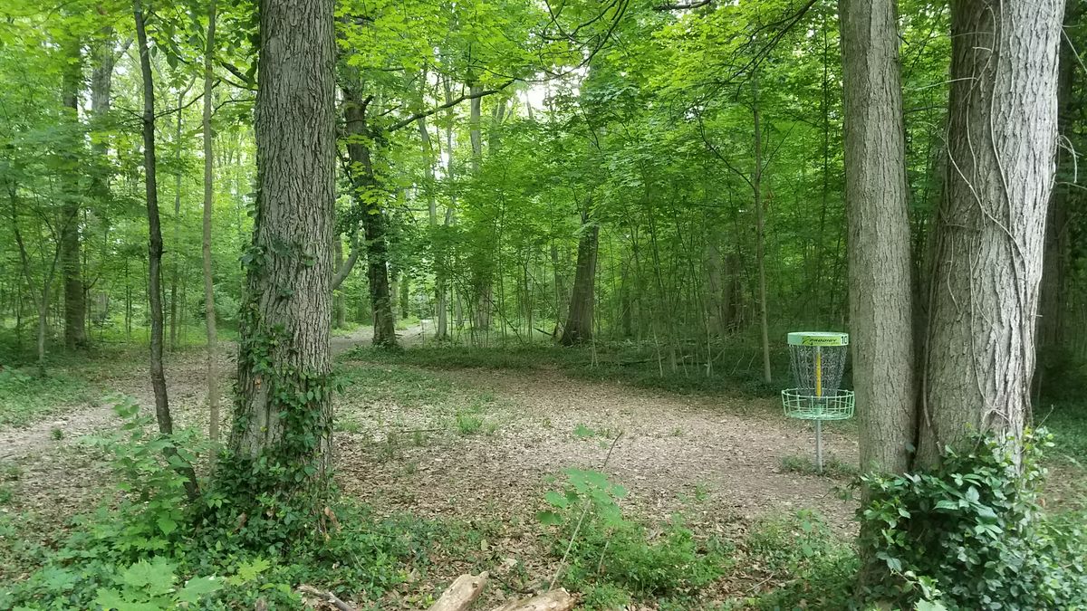 Looking back from the short position