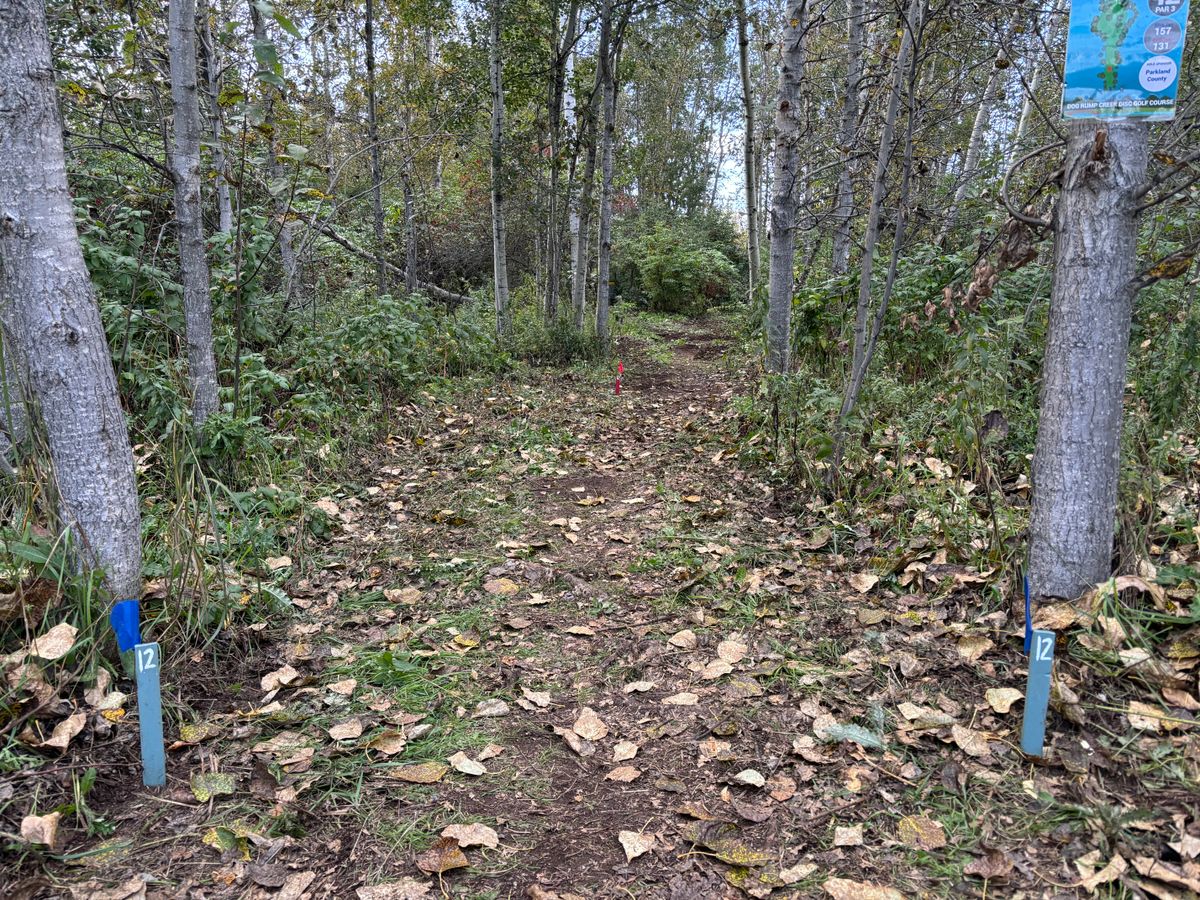 Hole 12 Blues