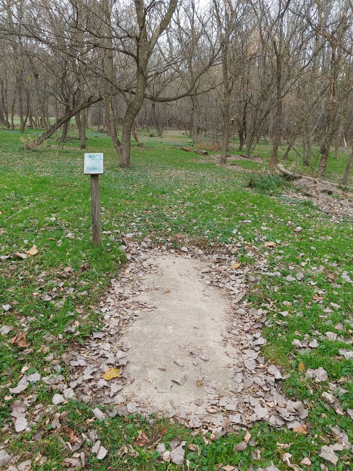 Holes 13-17 all look pretty similar. This is #13.