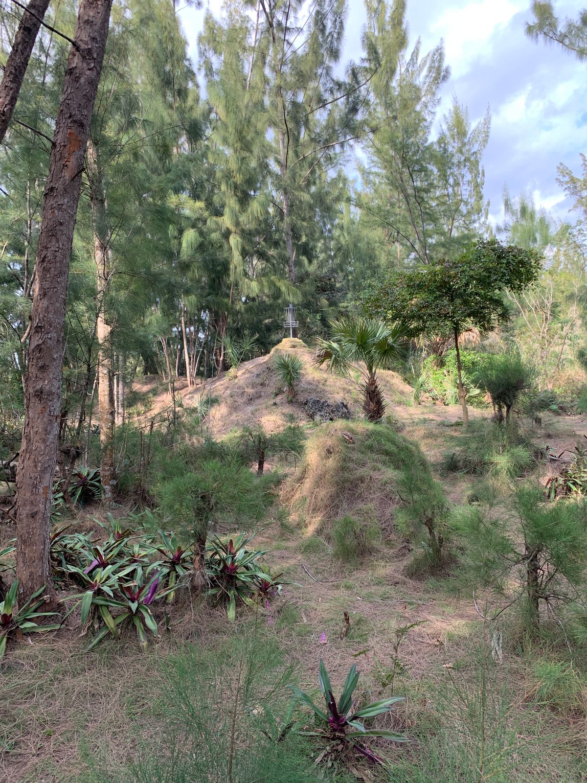 Hole 18 elevated basket
