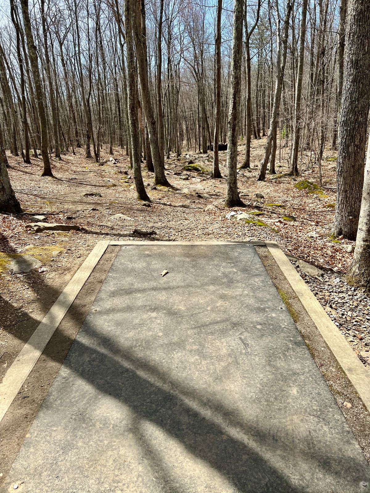 Hole #7 Tee Box
