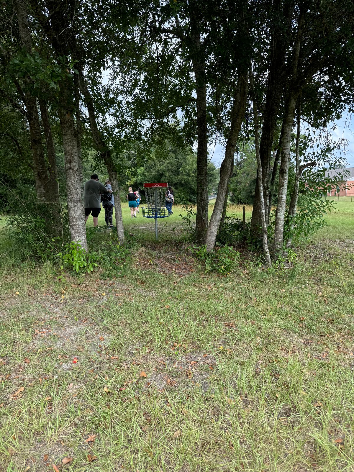Hole 6 basket