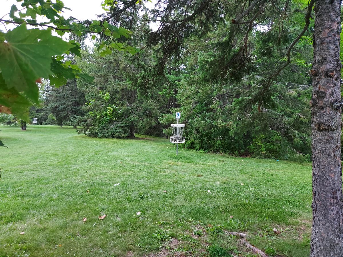 Putting on hole 7.🍁🍁🍁🍁