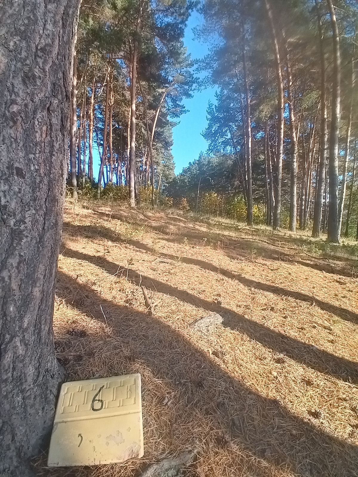 Hole 6 Tee