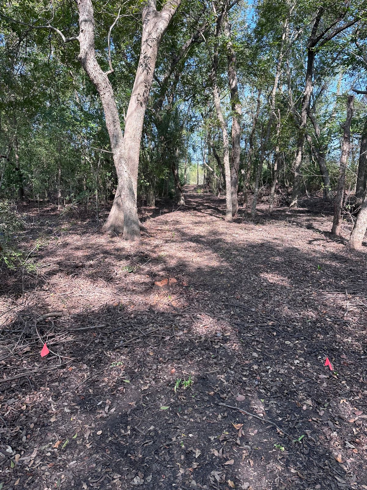 Hole 14 tee