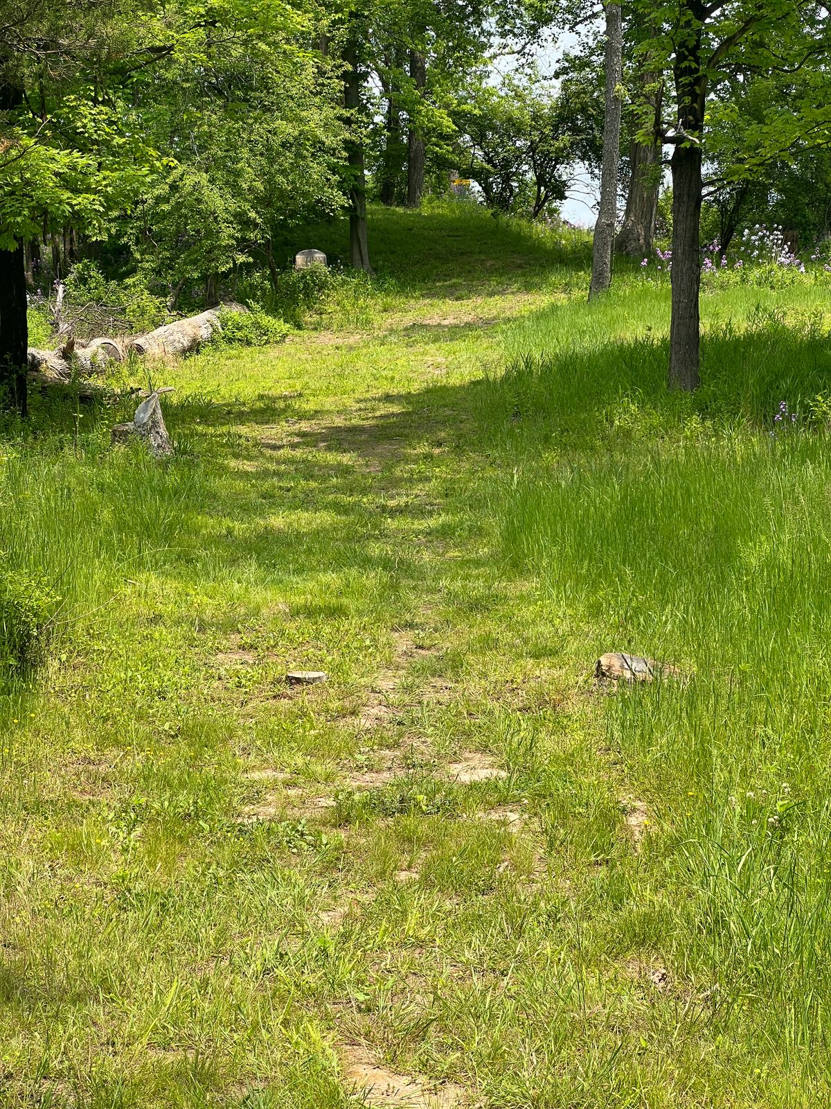 Hole #9